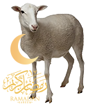agnelle abattoir de jossigny